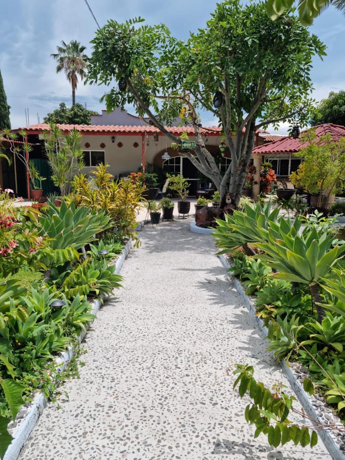 Bed and Breakfast Casa De La Abuela Ajijic Exterior foto