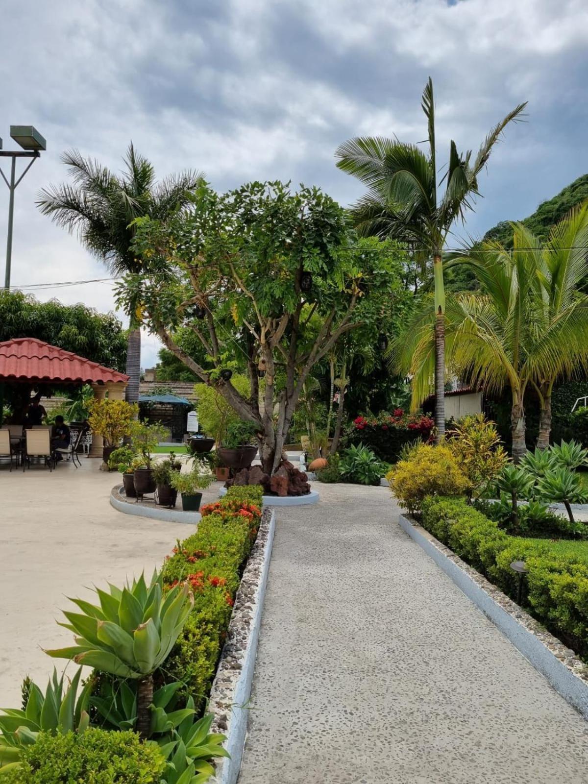 Bed and Breakfast Casa De La Abuela Ajijic Exterior foto